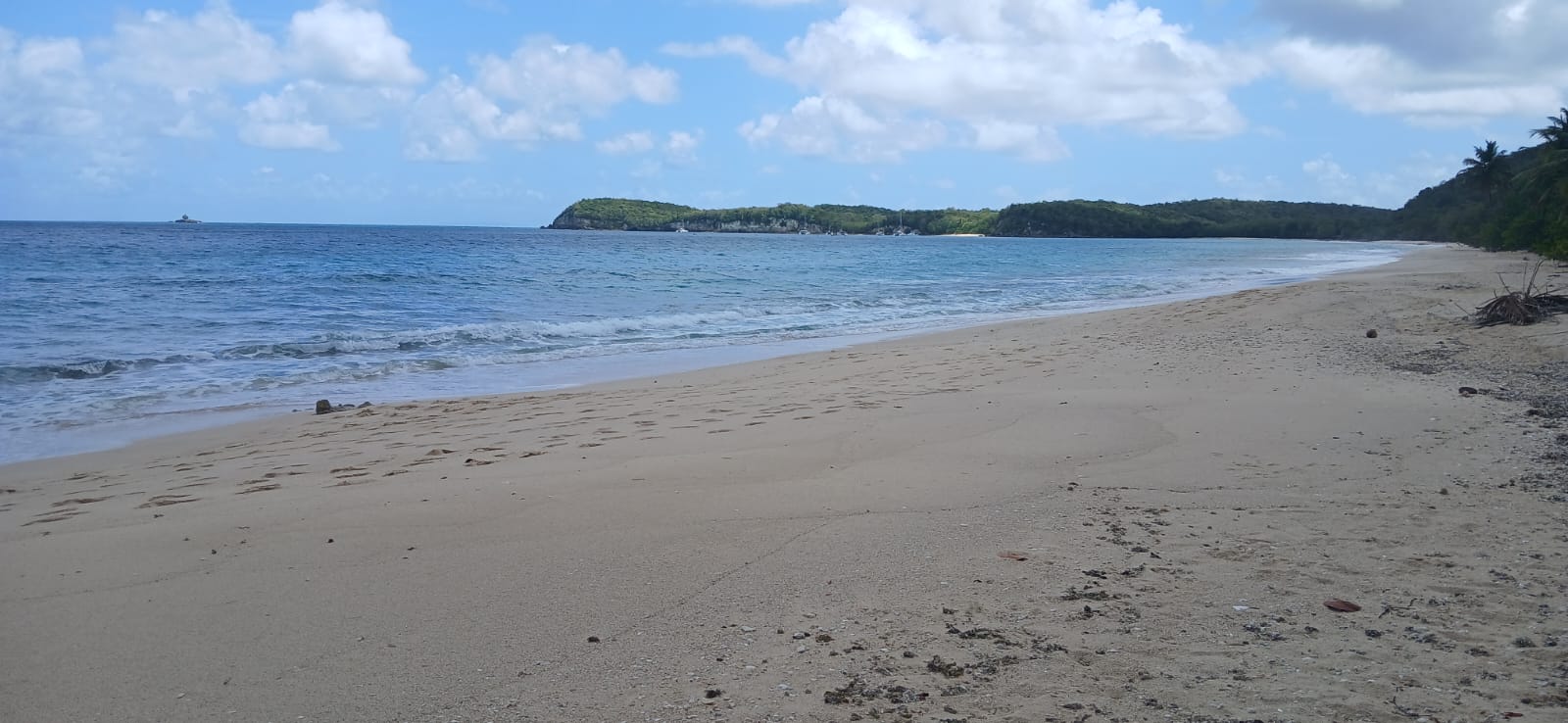 Que faire à Marie-Galante ? Une sortie en mer sans permis