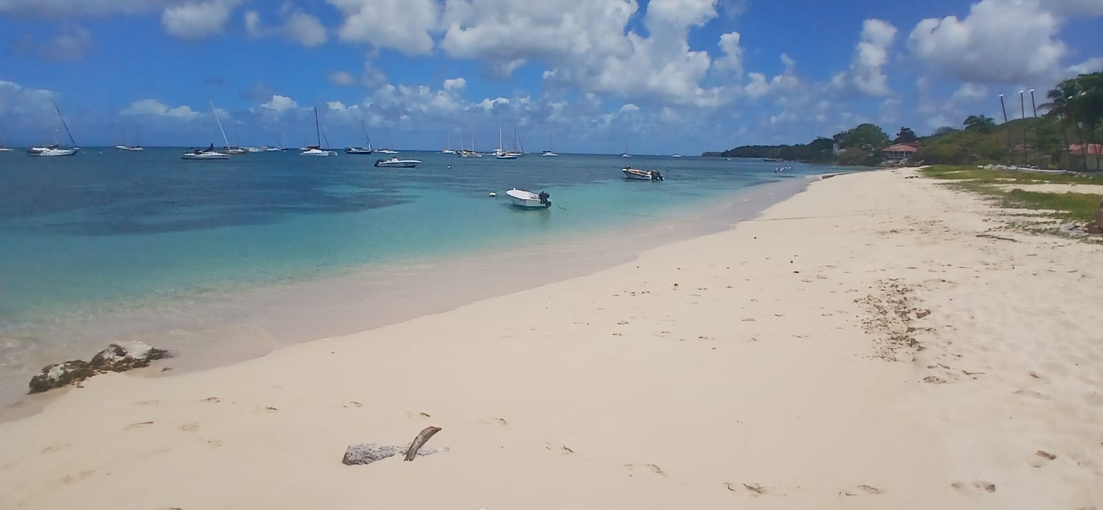 Anse Moustique
